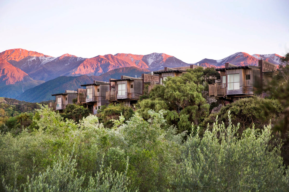 Hapuku Lodge + Tree Houses