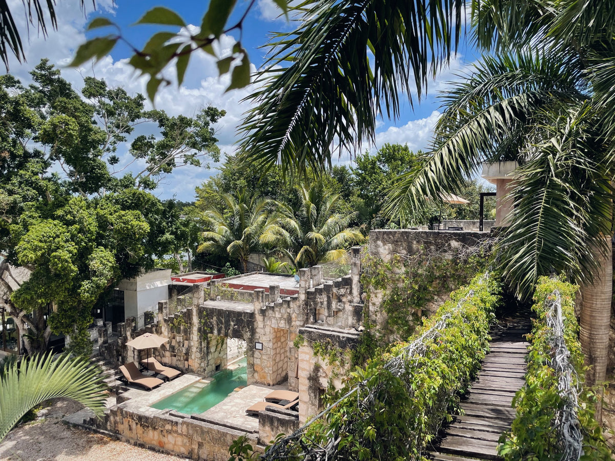 Coqui Coqui Cobá