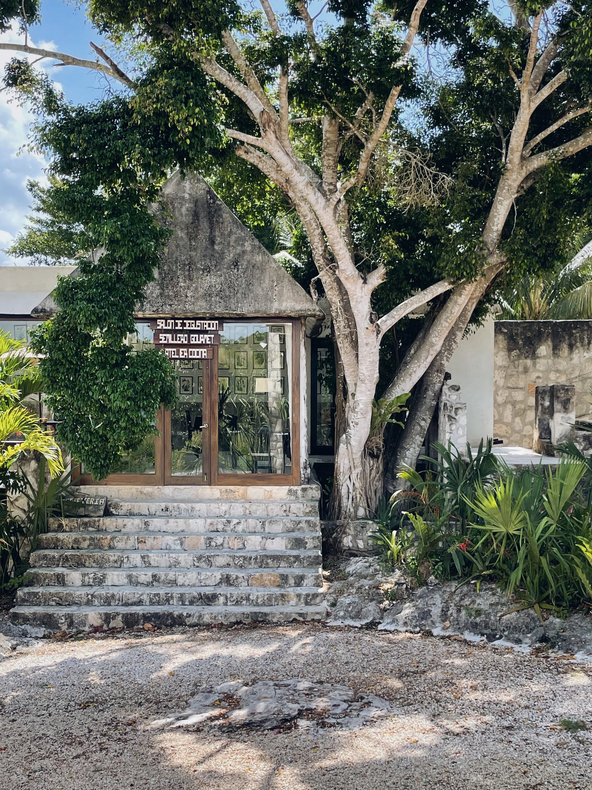 Coqui Coqui Cobá