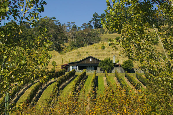 Black Barn