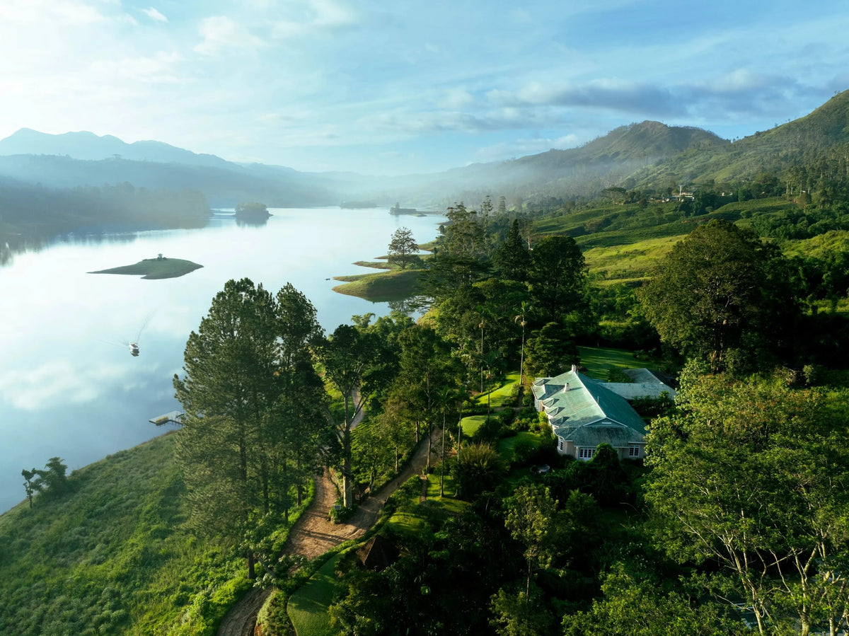 Tea Trails