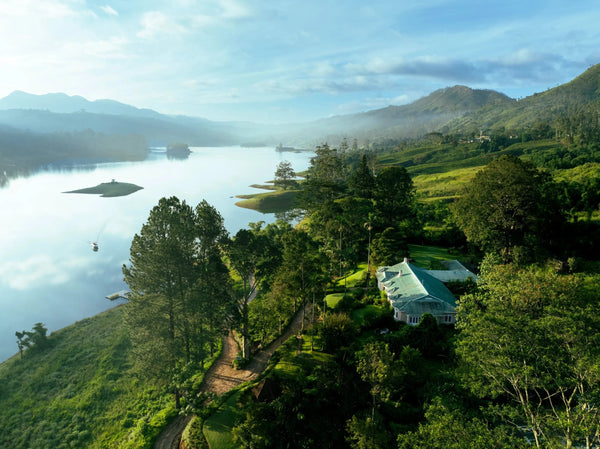 Tea Trails