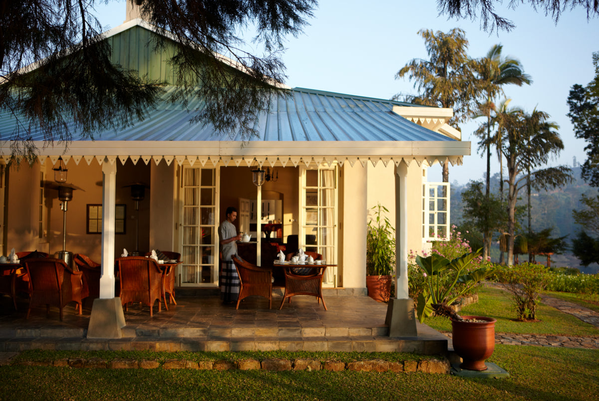 Tea Trails