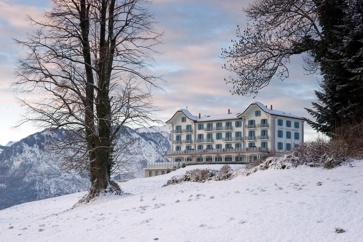 Hotel Villa Honegg