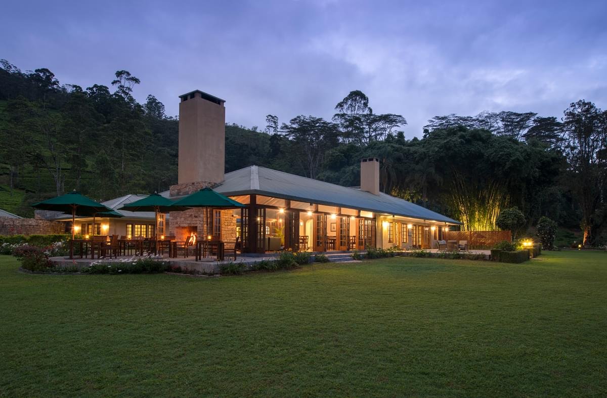 Tea Trails