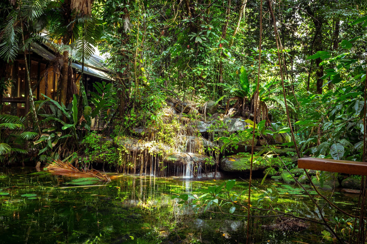 Daintree Ecolodge