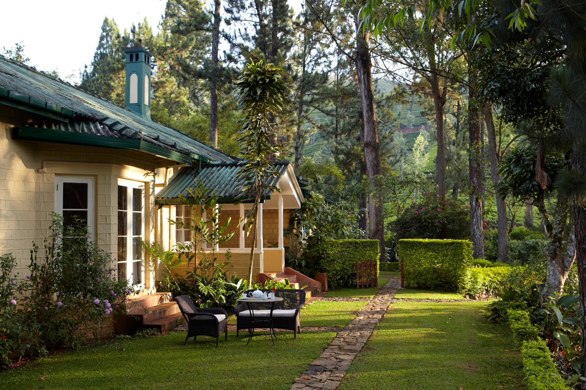 Tea Trails