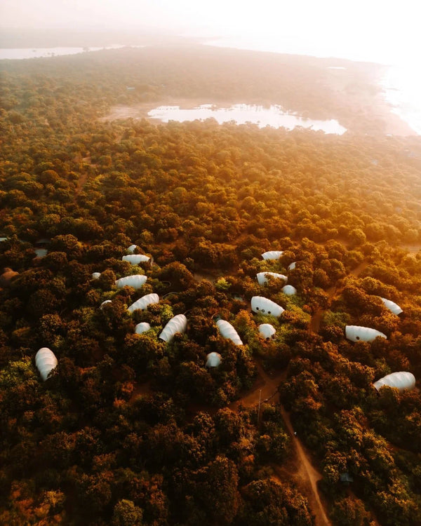 Wild Coast Tented Lodge