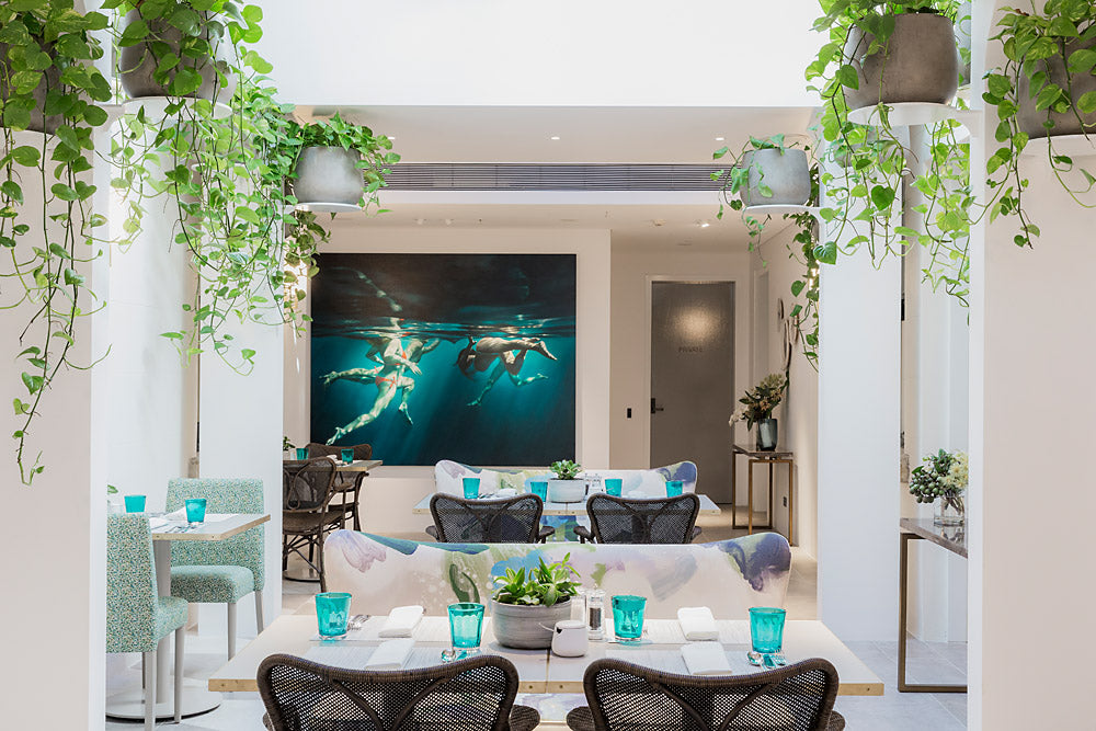 Spicers Potts Point