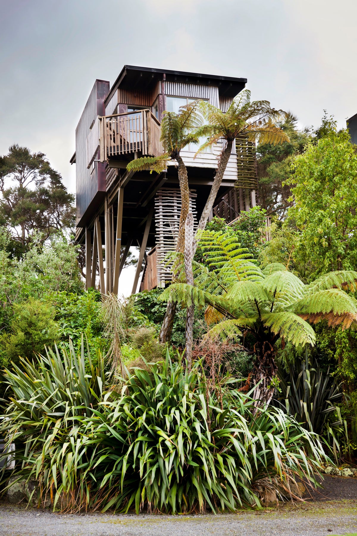 Hapuku Lodge + Tree Houses